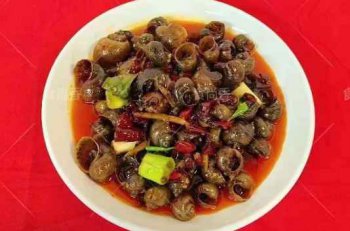 <b>麻辣田螺培训一般要学几天</b>