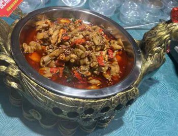 <b>烧鸡公培训地址在哪里</b>