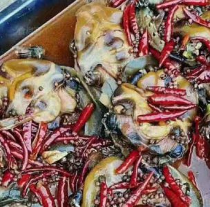 <b>铁板甲鱼培训口碑怎么样</b>